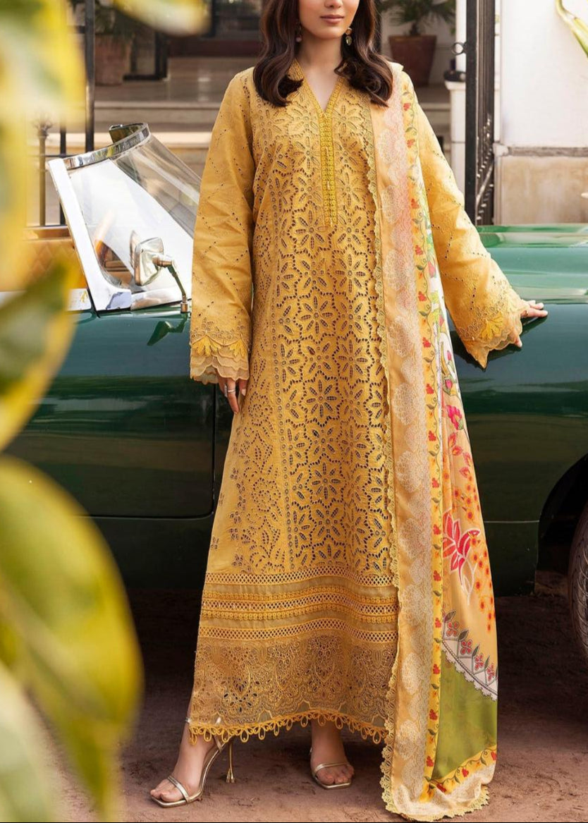 Chikankari Chiffon 3pc Embroidered Dress main image 0